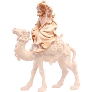 Cammelliere seduto R.K.