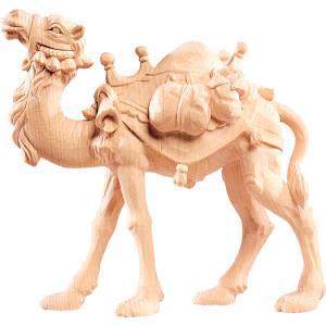 Camel R.K.