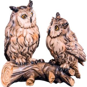 Group of owls