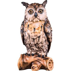 Owl on bough