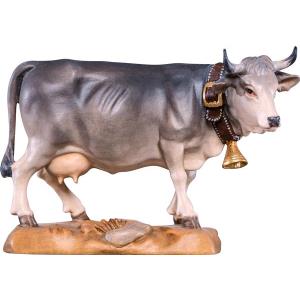 Grey cow