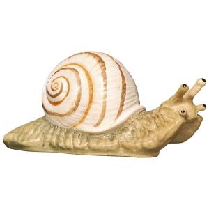 Schnecke