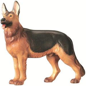 Schäferhund