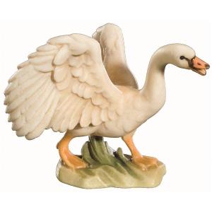 Swan