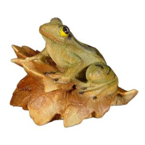 Frosch auf Blatt