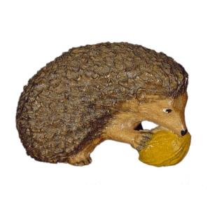 Hedgehog