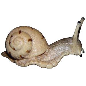 Snail