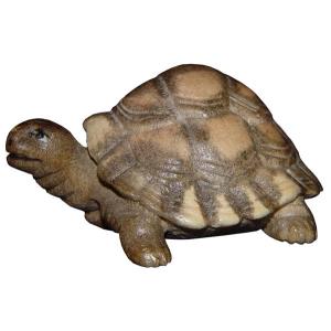 Riesenschildkröte