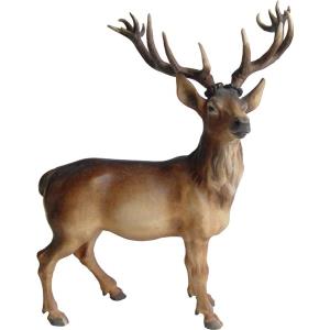 Stag