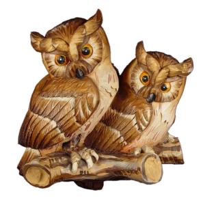 Owls