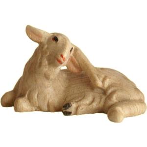 Pecora che si gratta