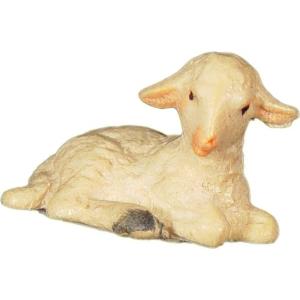 Lamb laying