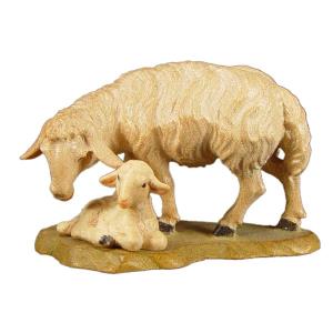 Gruppo pecorein piedi