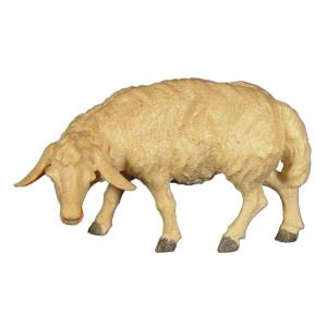 Pecora brucante destra