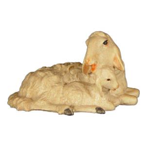 Gruppo pecore sdraiate