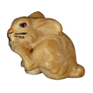 Coniglietto grattante