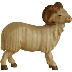 Ram