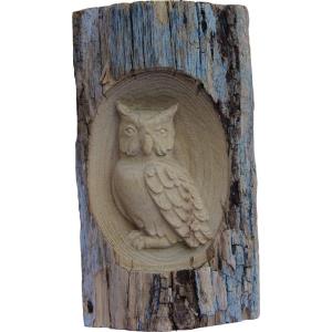 Tree trunk owl