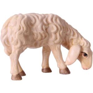 Pecora che mangia OTTO