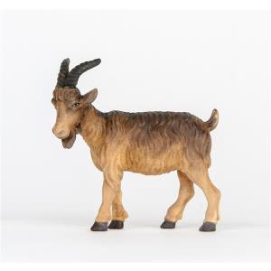 Billy Goat