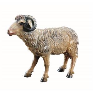 Montone al seguito dei pastori