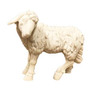 Standing sheep