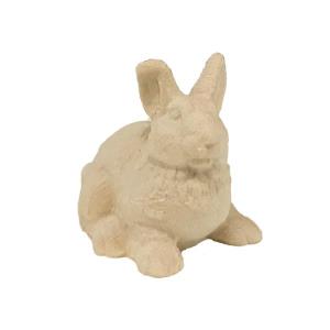 Il nostro coniglio ha lunghe orecchie e muso spiritoso