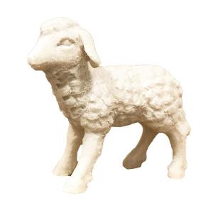 Lamb