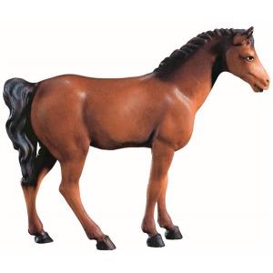 Brown horse