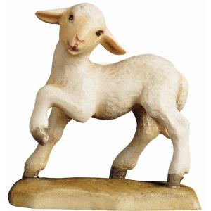 Agnello - zampa alzata