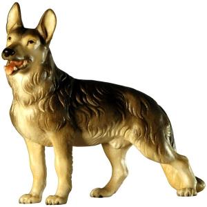 Schäferhund