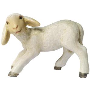 Lamb