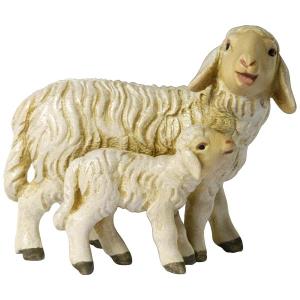 Sheep with lamb