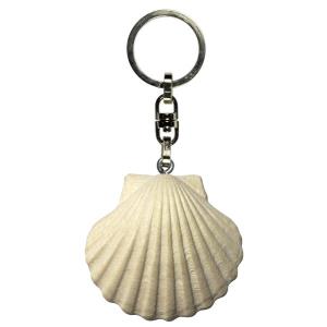 Scallop wioth key ring