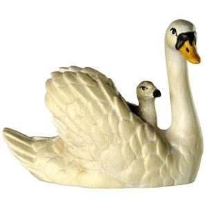 Schwan mit Junge auf Rücken