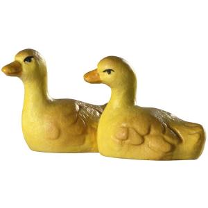 Chickenducks in two