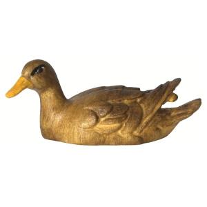 Ente schwimmend - Kopf links