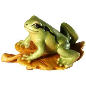 Laubfrosch auf Blatt