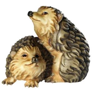 Young hedgehogcouple