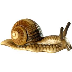 Weinbergschnecke