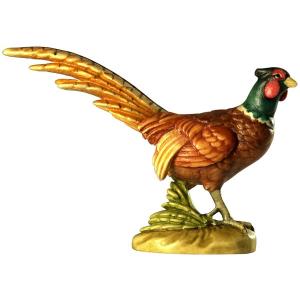 Pheasant