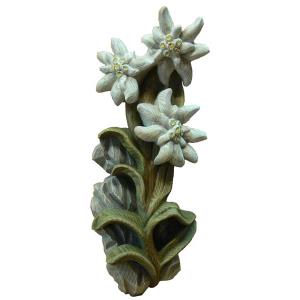 Edelweiss relief