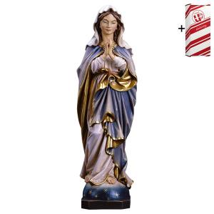 Madonna Immacolata che prega + Box regalo