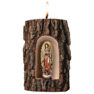 Our Lady of Guadalupe in grotto elm with candle