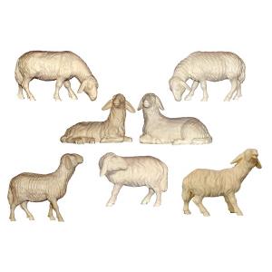 Set 6 Schafe Esche
