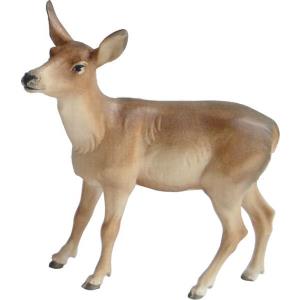Deer hind