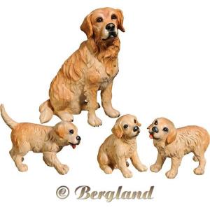 Golden Retriever with puppies (4 pieces)