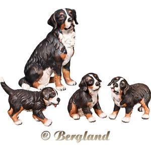 Bernese mountain dog with puppies (4 pieces)