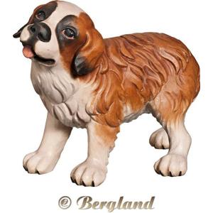 Saint Bernard puppy