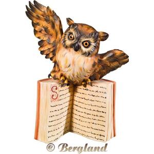 Owl flying on book